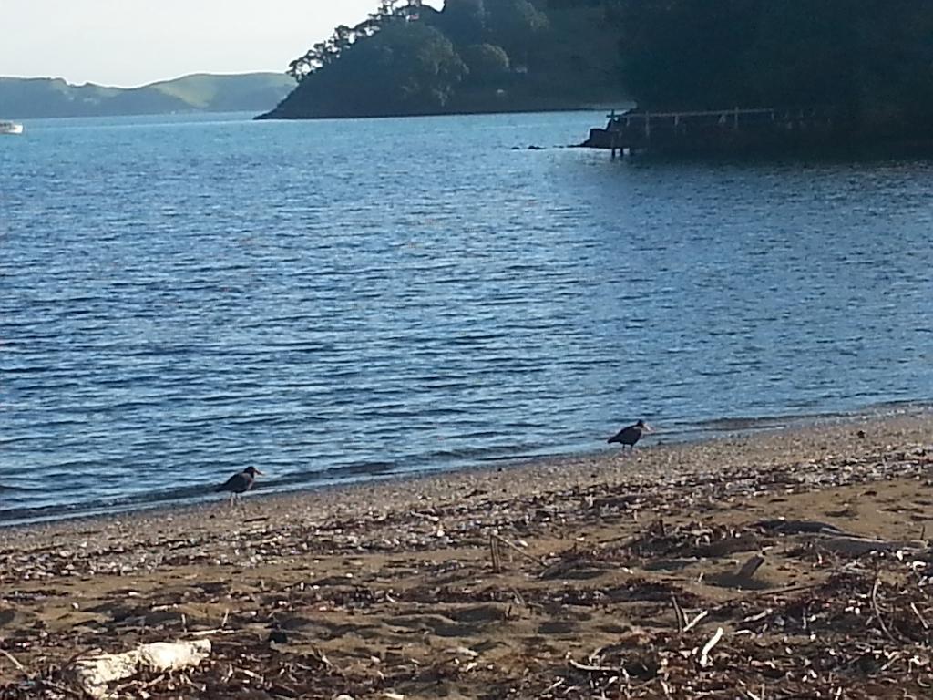 Oamaru Bay Tourist Park Hotell Coromandel Exteriör bild
